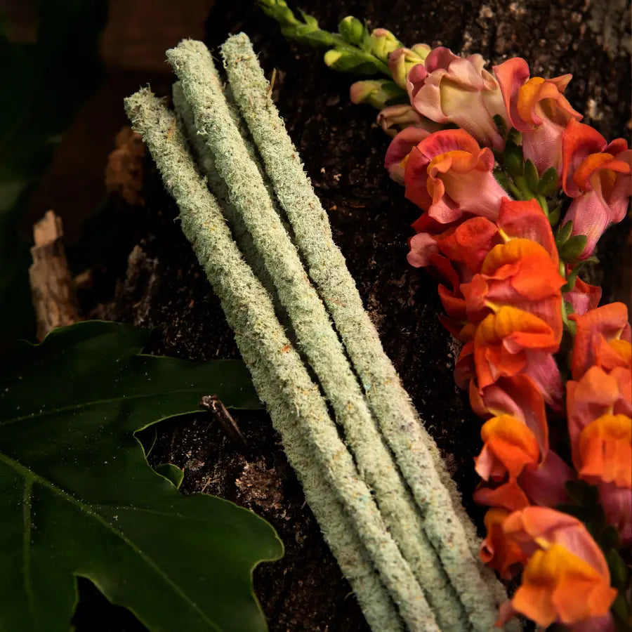 Incense Botánico Freesias