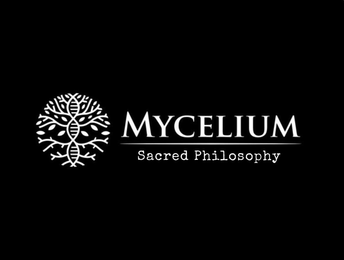 Porta Incienso Bruja Verde – Mycelium Sacred Phylosophy