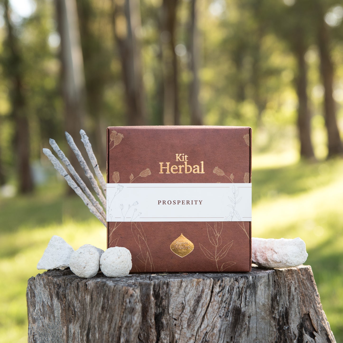 Prosperity Herbal Kit